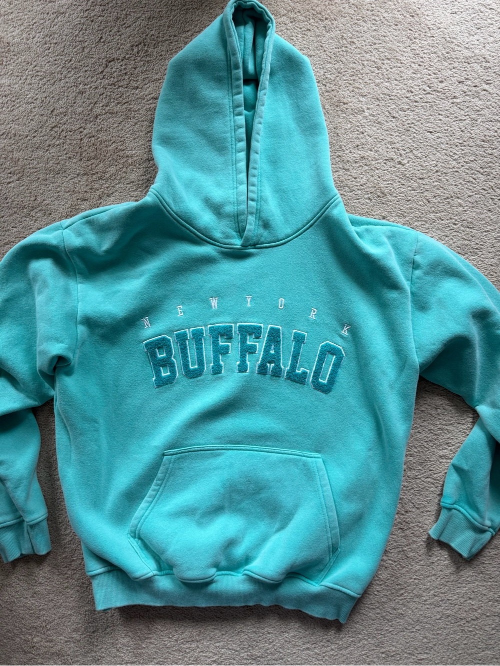 NWOT Varsity Hoodie in Mint Ting A Ling - Leveled Up Buffalo - Size Medium